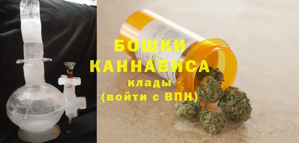 мяу мяу мука Белокуриха
