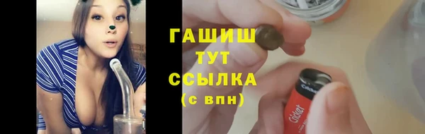 мяу мяу мука Белокуриха